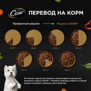 Cesar корм консервированный для взрослых собак говядина со сладким перцем и шпинатом в соусе