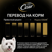 Cesar корм консервированный для собак говядина с овощами в соусе