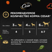 Cesar корм консервированный для взрослых собак индейка с зелёным горошком и морковью в желе