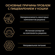 Влажный корм PRO PLAN DELICATE DIGESTION для взрослых кошек с чувствительным пищеварением, с ягненком в соусе