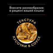 Влажный корм PRO PLAN DELICATE DIGESTION для взрослых кошек с чувствительным пищеварением, с ягненком в соусе