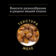 Влажный корм PRO PLAN INDOOR для взрослых кошек, живущих дома, с индейкой в желе