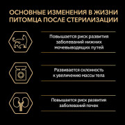 Влажный корм Pro Plan Sterilised MAINTENANCE для взрослых стерилизованных кошек, с индейкой в желе