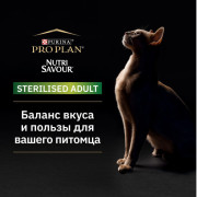 Влажный корм Pro Plan Sterilised MAINTENANCE для взрослых стерилизованных кошек, с индейкой в желе