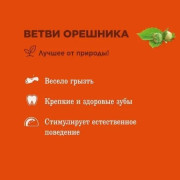 Little One лакомство для грызунов, ветви орешника