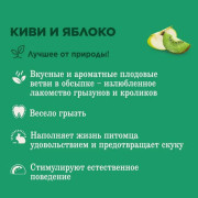 Little One лакомые ветви с киви и яблоком для всех видов грызунов