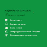 Little One кедровая шишка игрушка-лакомство для грызунов