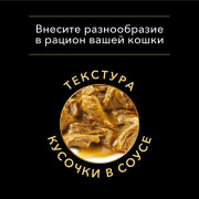 Влажный корм PRO PLAN Sterilised MAINTENANCE для взрослых стерилизованных кошек, с курицей в соусе