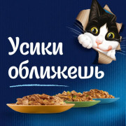 Влажный корм Felix Аппетитные кусочки для взрослых кошек, с лососем в желе