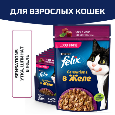 Влажный корм Felix Sensations для взрослых кошек, с уткой в желе со шпинатом
