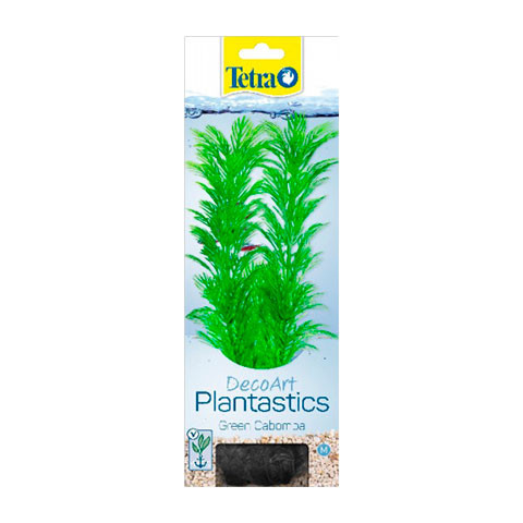 Tetra растение Green Cabomba
