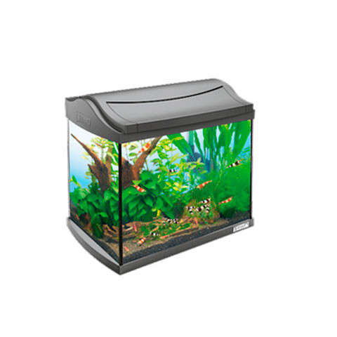 Tetra AquaArt Shrimps Discover Line аквариумный комплекс 20л