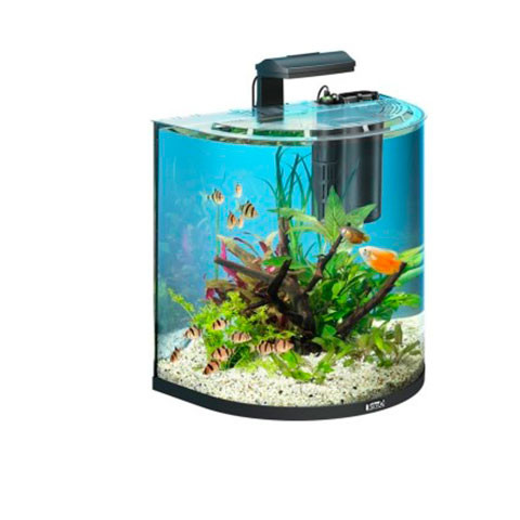 Tetra AquaArt Tropical аквариумный комплекс 60л, Полумесяц
