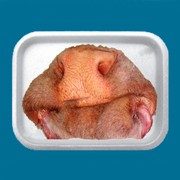 Губы, Носы говяжьи неопаленные