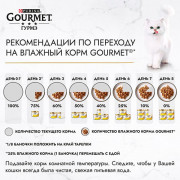 Консервы Gourmet Gold для кошек паштет индейка