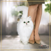 Консервы Gourmet Gold для кошек паштет индейка