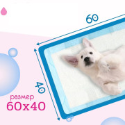 Zoo Няня пеленки одноразовые, гигиенические, 60х40