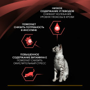 Консервы Purina Pro Plan Veterinary Diets DM St/Ox Diabetes Management пауч для кошек при диабете говядина