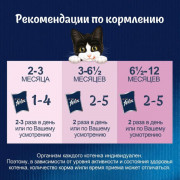 Влажный корм Felix Аппетитные кусочки для котят, с курицей в желе