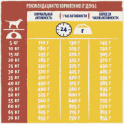 Dog Chow сухой корм для собак, взрослых, активных, курица