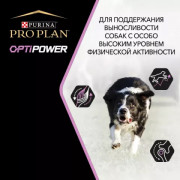 Pro Plan OptiPower корм сухой для собак при больших физических нагрузках с высоким содержанием курицы