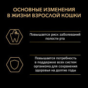 Влажный корм Pro Plan MAINTENANCE Adult для взрослых кошек, с индейкой в желе