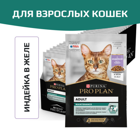 Влажный корм Pro Plan MAINTENANCE Adult для взрослых кошек, с индейкой в желе