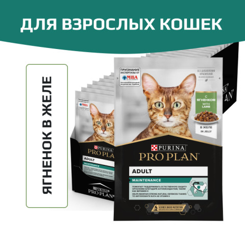 Влажный корм PRO PLAN MAINTENANCE для взрослых кошек, с ягненком в желе
