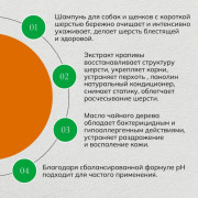 Айда гулять Шампунь для короткошерстных собак и щенков