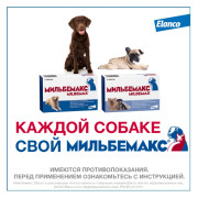 Elanco Мильбемакс  таблетки от гельминтов для крупных собак