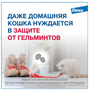 Elanco Мильбемакс таблетки от гельминтов со вкусом говядины для котят и маленьких кошек