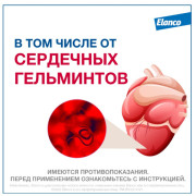 Elanco Мильбемакс таблетки от гельминтов со вкусом говядины для котят и маленьких кошек