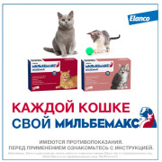Elanco Мильбемакс таблетки от гельминтов со вкусом говядины для котят и маленьких кошек