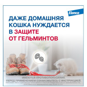 Elanco Мильбемакс таблетки от гельминтов со вкусом говядины для крупных кошек