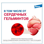 Elanco Мильбемакс таблетки от гельминтов со вкусом говядины для крупных кошек
