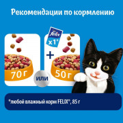 Сухой корм Felix Двойная Вкуснятина для взрослых кошек, с мясом