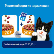 Сухой корм Felix Двойная Вкуснятина для взрослых кошек, с птицей