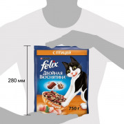 Сухой корм Felix Двойная Вкуснятина для взрослых кошек, с птицей