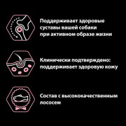 Pro Plan OptiDerma Adult 7+ Sensitive Skin с лососем Корм сухой для пожилых собак средних и крупных пород старше 7 лет с чувствительной кожей