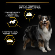 Pro Plan OptiWeight Light, Sterilised с курицей Корм сухой для склонных к избыточному весу, стерилизованных взрослых собак всех пород