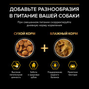 Pro Plan OptiWeight Light, Sterilised с курицей Корм сухой для склонных к избыточному весу, стерилизованных взрослых собак всех пород