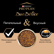 Pro Plan Duo Delice OptiBalance с лососем и рисом Корм сухой для мелких и карликовых собак всех пород