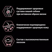 Сухой корм PRO PLAN SENSITIVE SKIN для взрослых собак крупных пород с атлетическим телосложением с чувствительной кожей, с высоким содержанием лосося