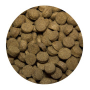 All Dogs корм сухой для взрослых собак с говядиной и овощами