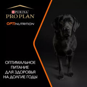 Сухой корм PRO PLAN EVERYDAY NUTRITION для взрослых собак крупных пород с атлетическим телосложением, с высоким содержанием курицы