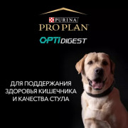 Сухой корм PRO PLAN SENSITIVE DIGESTION для взрослых собак крупных пород с мощным телосложением с чувствительным пищеварением, с высоким содержанием ягненка