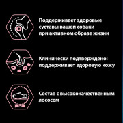 Сухой корм PRO PLAN SENSITIVE SKIN для щенков средних пород с чувствительной кожей, с высоким содержанием лосося