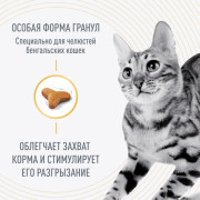 Royal Canin Bengal Adult сухой корм специально для взрослых Бенгальских кошек старше 12 месяцев