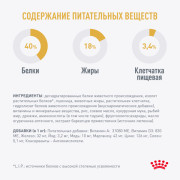 Royal Canin Bengal Adult сухой корм специально для взрослых Бенгальских кошек старше 12 месяцев