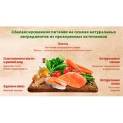 NATURE'S TABLE корм сухой для взрослых кошек лосось